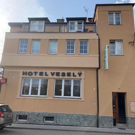 Penzion Vesely Zelezny Brod Esterno foto